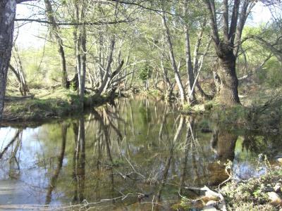 The Duero River Basin Authority has entrusted OFITECO with the project drafting for the correction of the hydromorphological alterations in the water masses in the provinces of León, Salamanca, Ávila, Zamora and Orense.